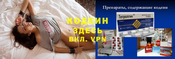 спиды Бородино