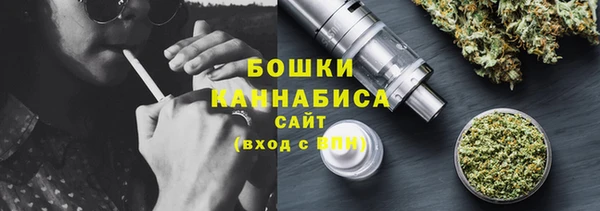 спиды Бородино