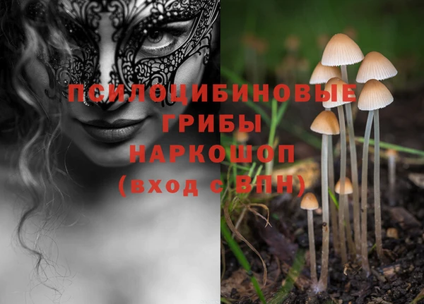 прущие крисы Бронницы